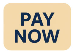 Pay Now Button